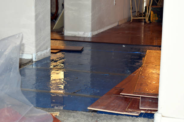 Professional Basement Water Removal technician working in Rochelle, VA