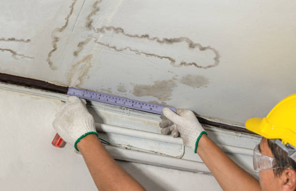 Reliable Basement Water Removal contractor in Rochelle, VA by Water Damage Irwin
